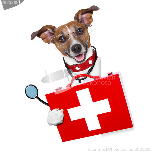 Image of medical doctor dog