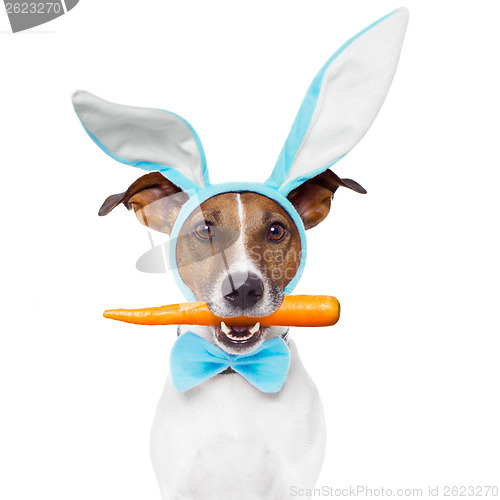 Image of dog with bunny ears and a carrot