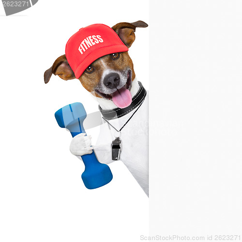 Image of fitness dog  banner