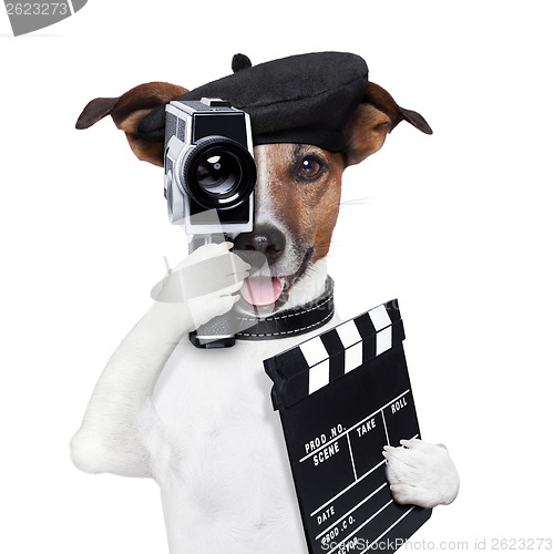 Image of movie director dog