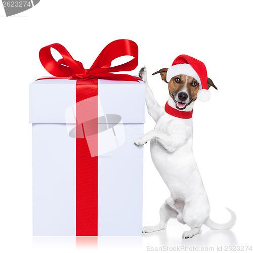 Image of christmas dog santa 