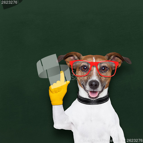 Image of smart school dog