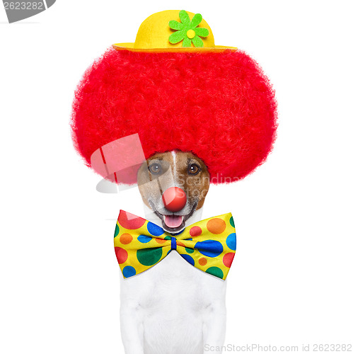 Image of clown dog with red wig and hat