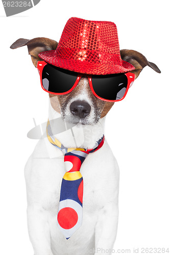 Image of crazy silly funny dog hat glasses  tie