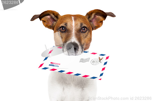 Image of mail dog