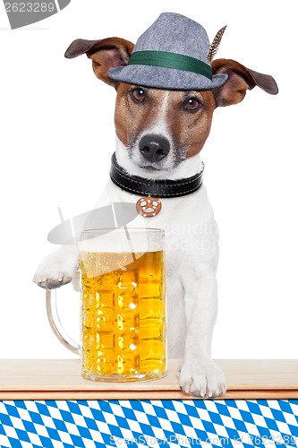 Image of dog oktoberfest