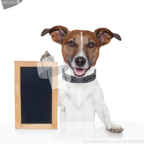 Image of board  placeholder banner dog 