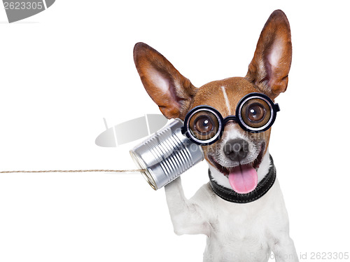 Image of dog on the phone