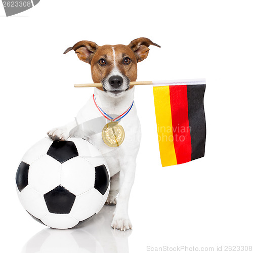 Image of dog as soccer with medal and  flag