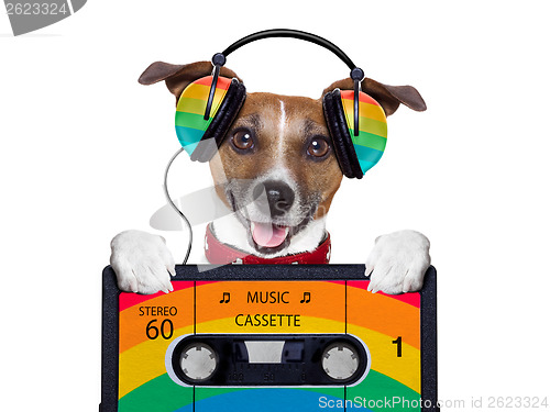 Image of music dog