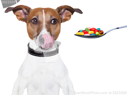 Image of dog pills diet