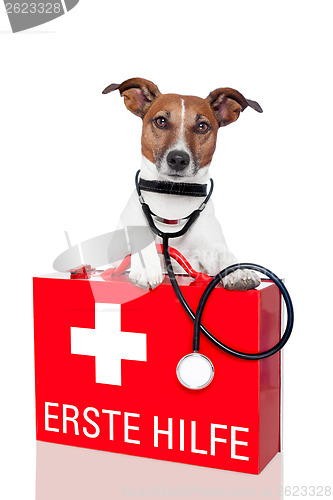 Image of first aid dog