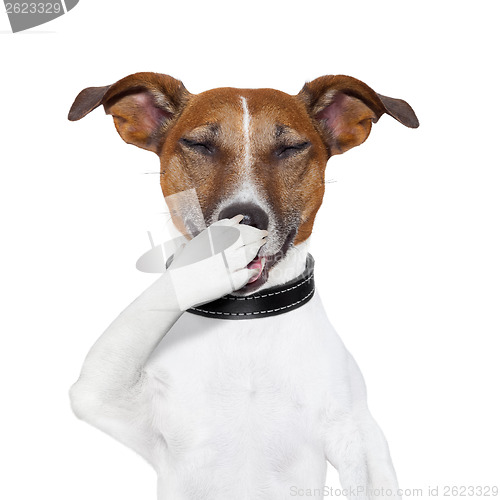 Image of dog laughing at a joke