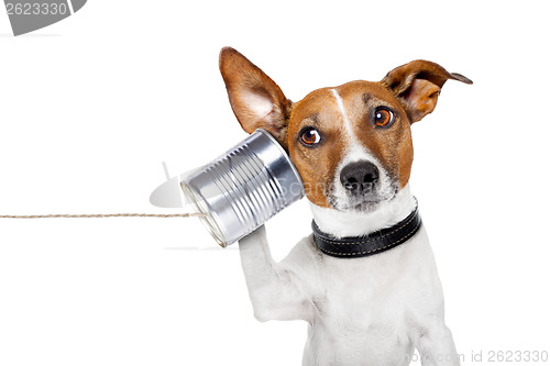Image of dog on the phone