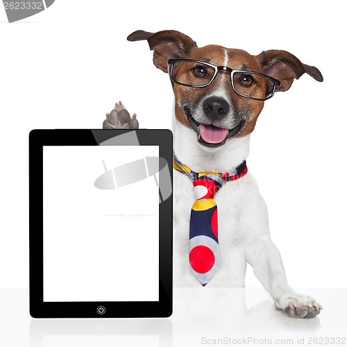 Image of business dog tablet pc ebook