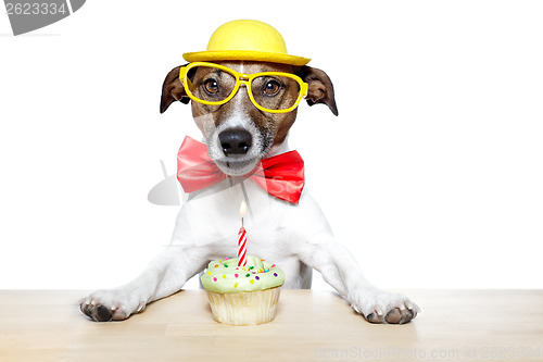 Image of birthday dog cupcake