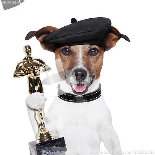 Image of award winner dog