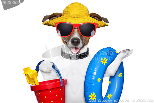 Image of summer beach dog