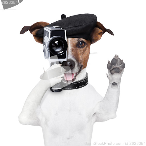Image of movie director dog