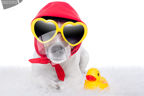 Image of dog and duck