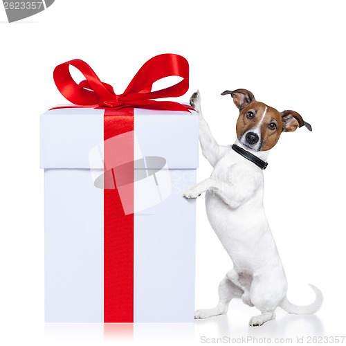 Image of christmas dog with present