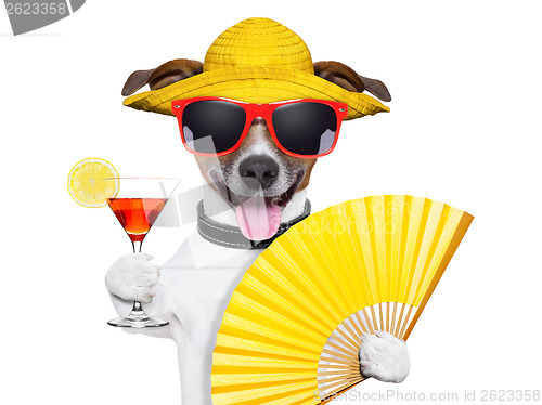 Image of summer cocktail dog