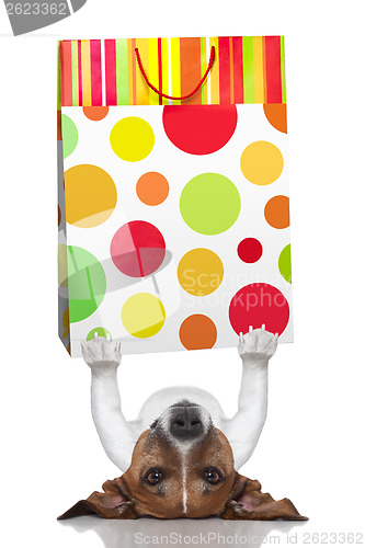 Image of shopping dog 