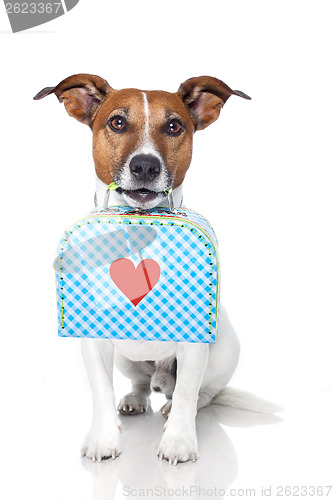 Image of dog with a small luggage with a big heart