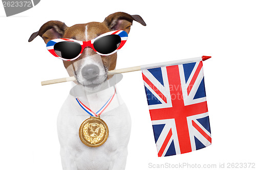 Image of olympic dog 