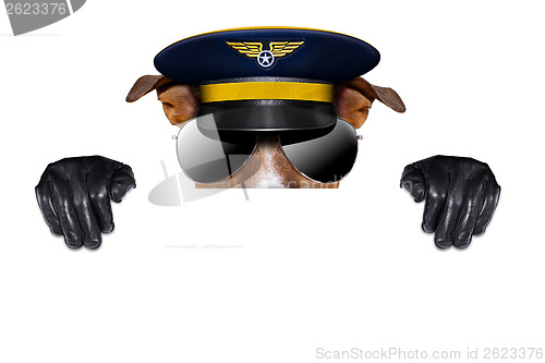 Image of pilot dog