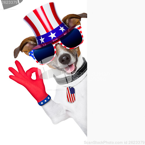 Image of usa american dog 