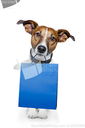 Image of shopping bag  dog 