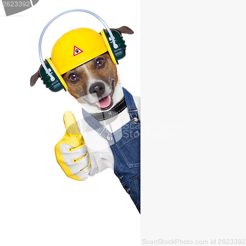 Image of under construction dog