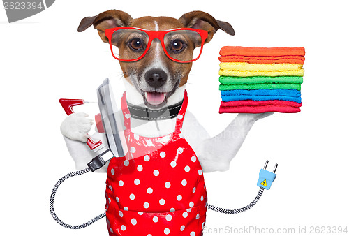 Image of housewife dog 