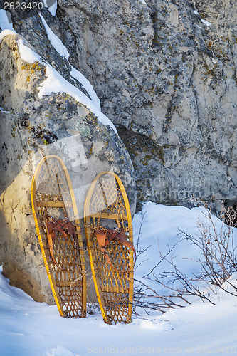 Image of  Bear Paw snowshoes 