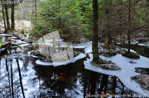 Image of Pond reflections