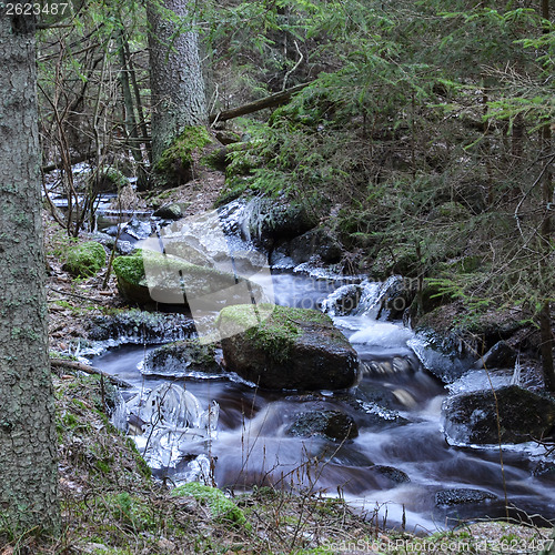 Image of Small creek