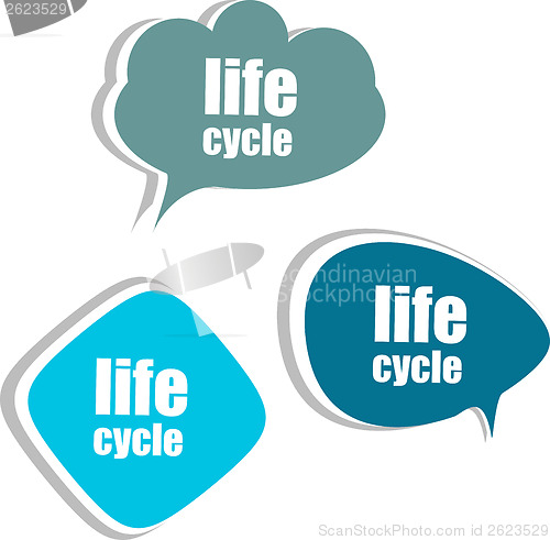 Image of life cycle. Set of stickers, labels, tags. Template for infographics