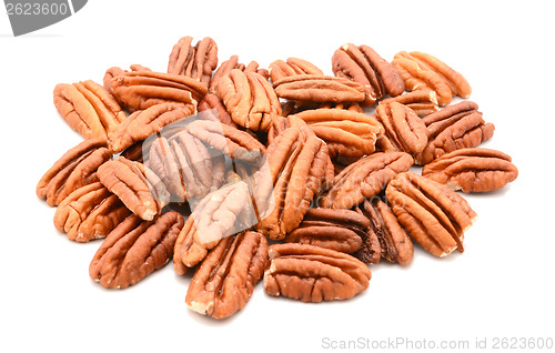 Image of Whole pecan nuts