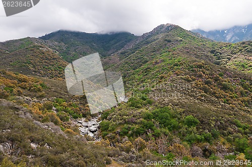 Image of Sequoia National Park