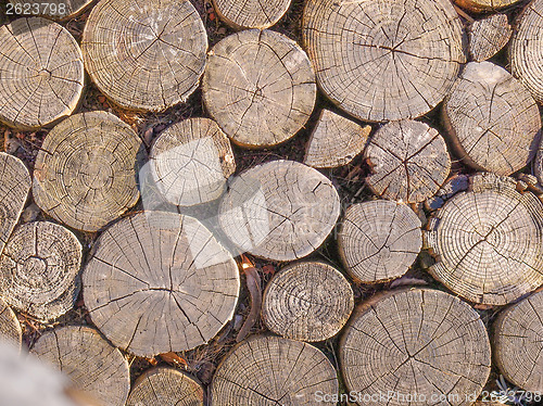 Image of Wood background