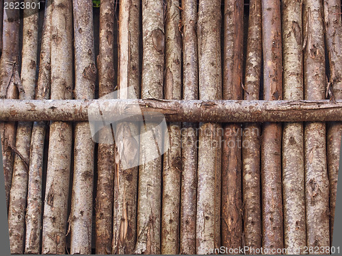 Image of Wooden palisade