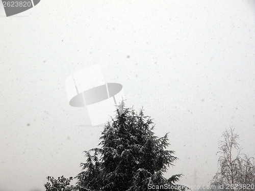 Image of Snowy weather