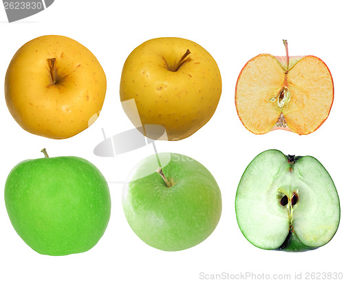 Image of Apple isolated