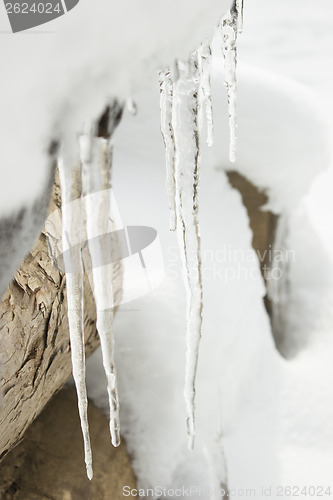 Image of Icicles