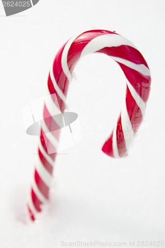 Image of Candy Cane