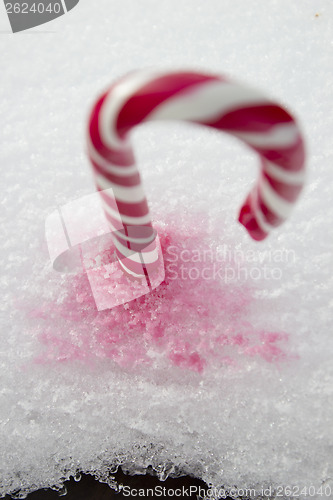 Image of Candy Cane