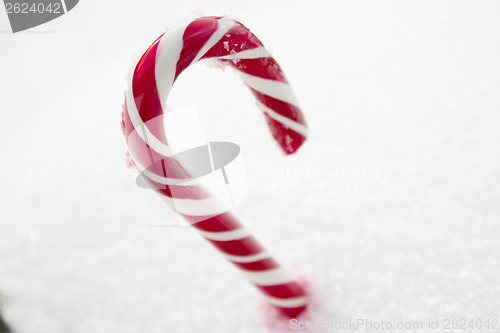 Image of Candy Cane