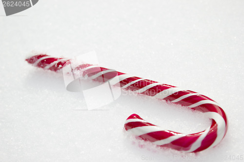 Image of Candy Cane