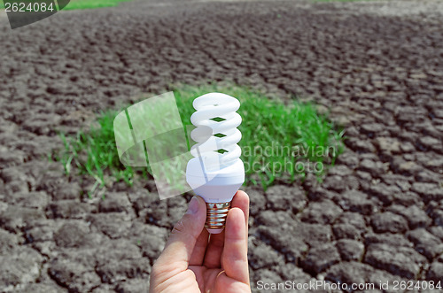 Image of eco bulb in hand over desert and green grass